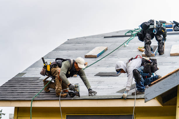 Professional Storm Damage Roof Repair technician working in Lane, KS
